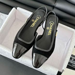  25SS   LP0854-2  2÷ 